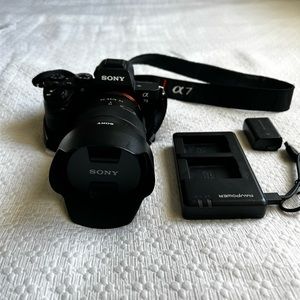 Sony A7ii with Zeiss FE 4/24-70